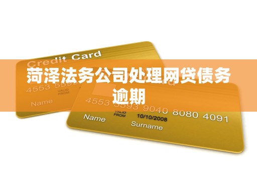 菏泽法务公司处理网贷债务逾期 菏泽法务公司处理网贷债务逾期