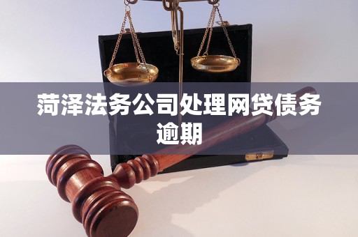 菏泽法务公司处理网贷债务逾期 菏泽法务公司处理网贷债务逾期