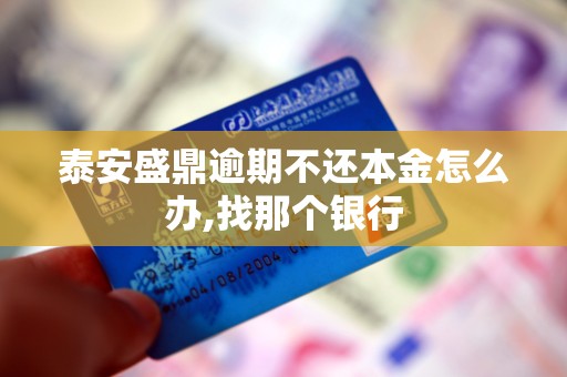泰安盛鼎逾期不还本金怎么办,找那个银行