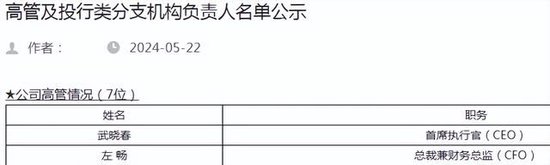 德邦证券武晓春任总经理 原总裁左畅降职到子公司去了？_德邦证券武晓春任总经理 原总裁左畅降职到子公司去了？_