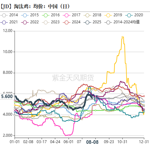鸡蛋碎鸡肚子里鸡会有什么症状_七彩山鸡蛋农场供应_