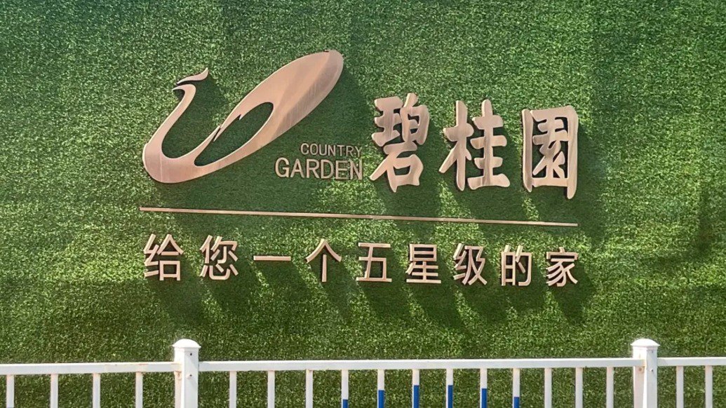 碧桂园债券价格_碧桂园偿债能力指标_