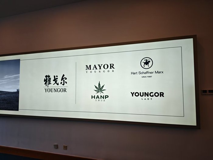 直击雅戈尔股东大会：董事长李如成回应业绩下滑、转型收购__直击雅戈尔股东大会：董事长李如成回应业绩下滑、转型收购
