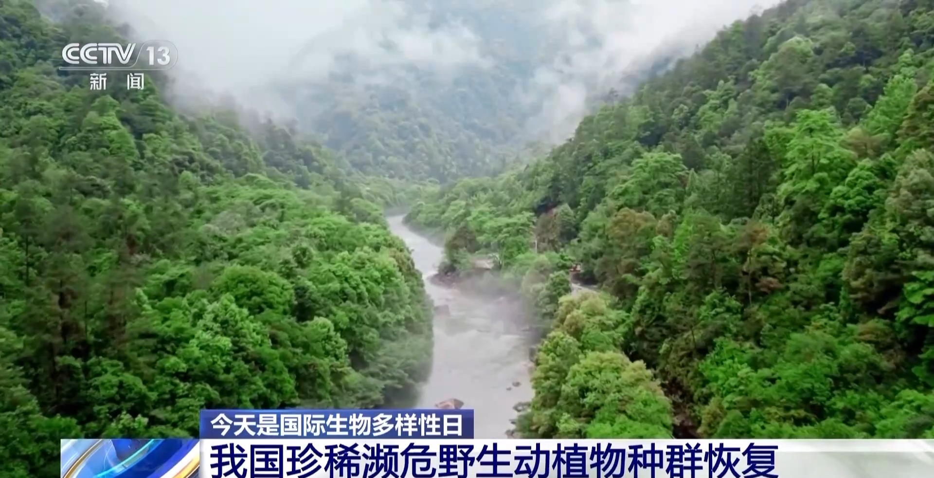 我国生物多样性保护成效如何？这份“成绩单”亮了__我国生物多样性保护成效如何？这份“成绩单”亮了