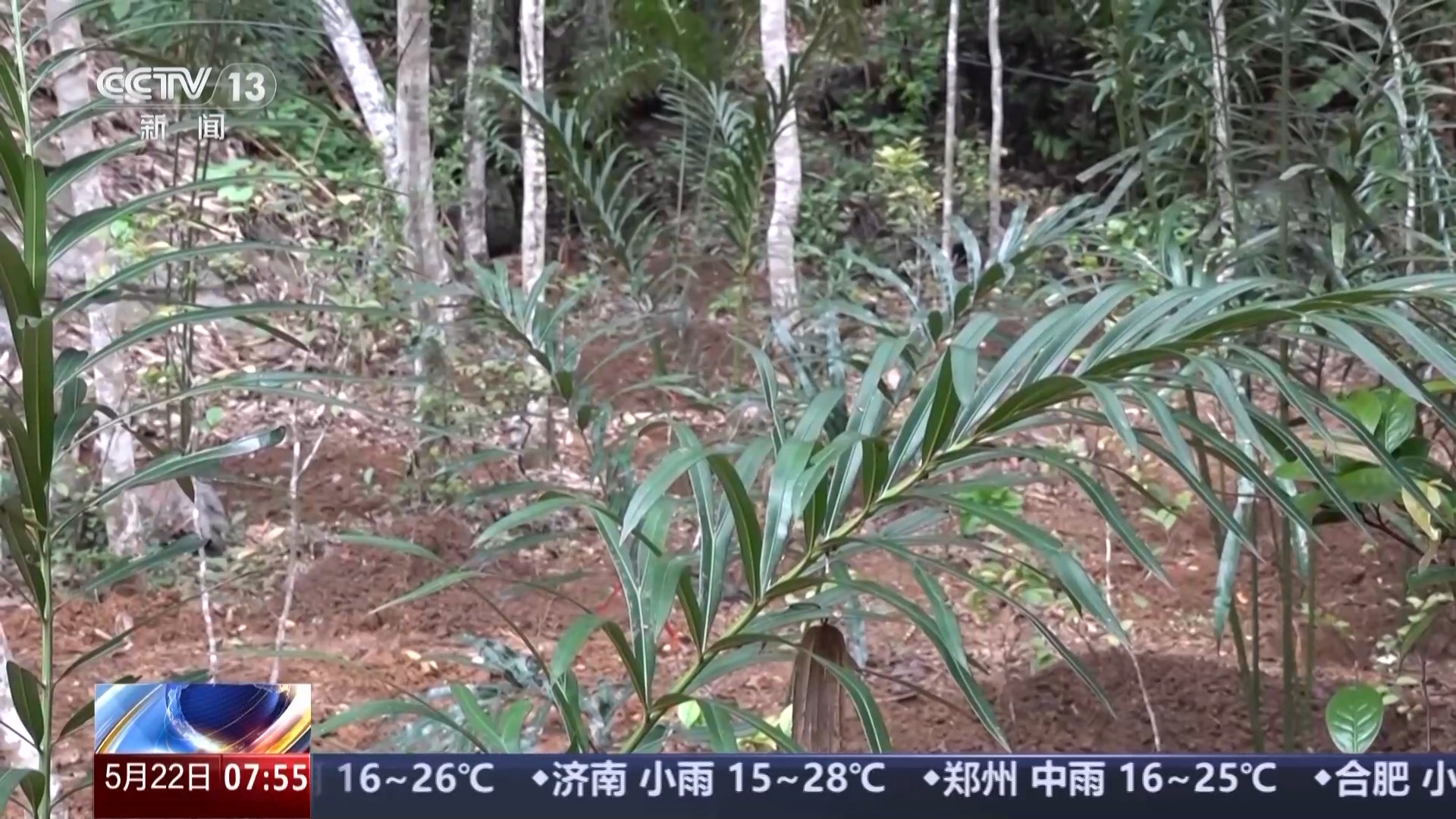 我国生物多样性保护成效如何？这份“成绩单”亮了_我国生物多样性保护成效如何？这份“成绩单”亮了_