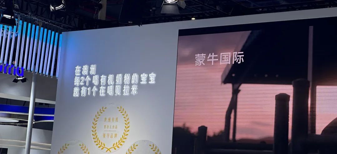 左宇摄