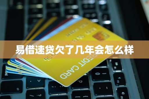易借速贷欠了几年会怎么样