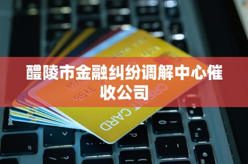 醴陵市金融纠纷调解中心催收公司 醴陵市金融纠纷调解中心催收公司