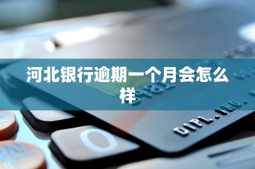 河北银行逾期一个月会怎么样