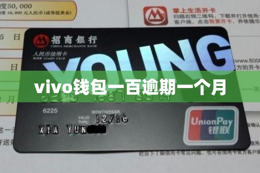 vivo钱包一百逾期一个月