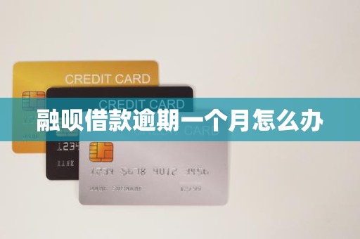 融呗借款逾期一个月怎么办