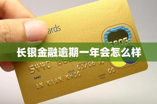 长银金融逾期一年会怎么样