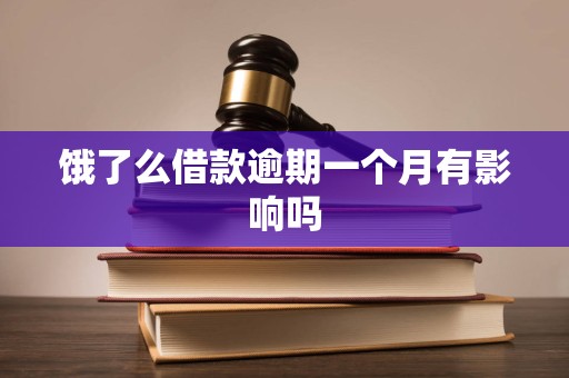 饿了么借款逾期一个月有影响吗