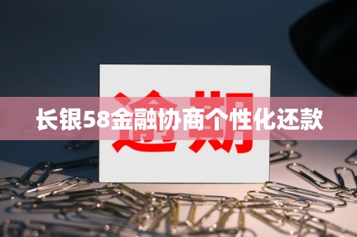 长银58金融协商个性化还款
