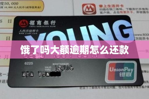 饿了吗大额逾期怎么还款