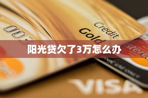 阳光贷欠了3万怎么办