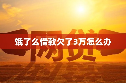 饿了么借款欠了3万怎么办 饿了么借款欠了3万怎么办