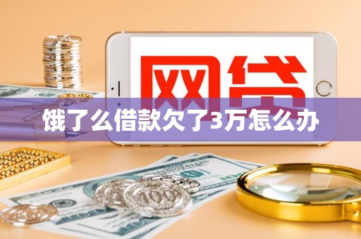 饿了么借款欠了3万怎么办 饿了么借款欠了3万怎么办