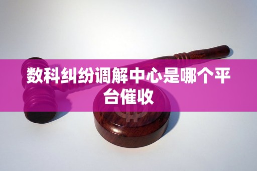 数科纠纷调解中心是哪个平台催收