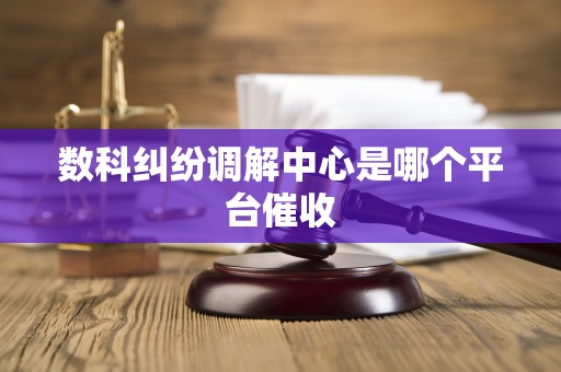 数科纠纷调解中心是哪个平台催收