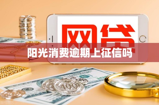 阳光消费逾期上征信吗 阳光消费逾期上征信吗