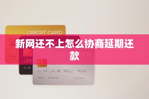 新网还不上怎么协商延期还款