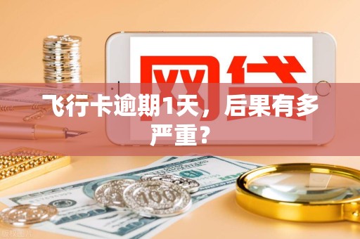 飞行卡逾期1天,后果有多严重? 飞行卡逾期1天,后果有多严重?