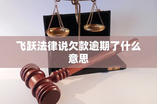 飞跃法律说欠款逾期了什么意思