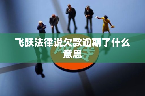 飞跃法律说欠款逾期了什么意思