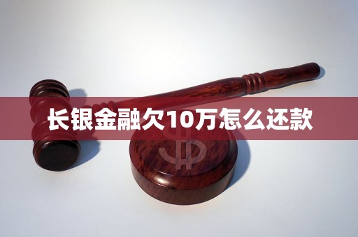 长银金融欠10万怎么还款 长银金融欠10万怎么还款