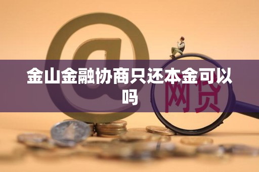 金山金融协商只还本金可以吗