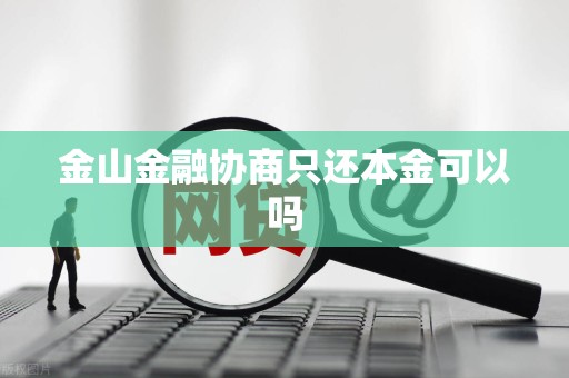 金山金融协商只还本金可以吗