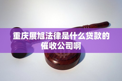 重庆展旭法律是什么贷款的催收公司啊