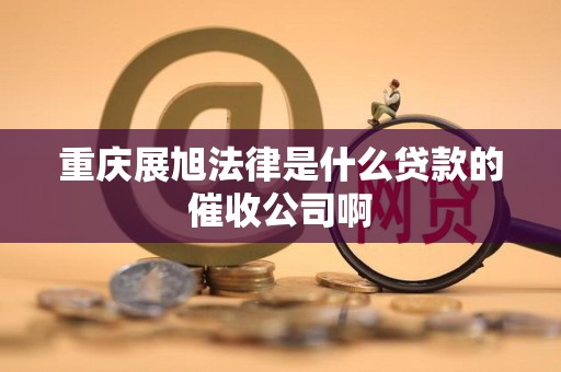 重庆展旭法律是什么贷款的催收公司啊