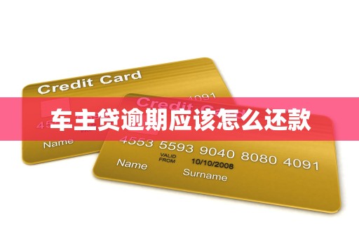 车主贷逾期应该怎么还款