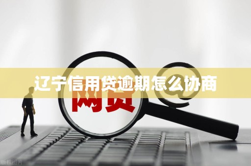 辽宁信用贷逾期怎么协商