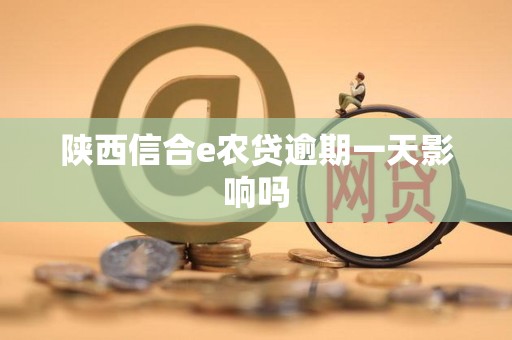 陕西信合e农贷逾期一天影响吗
