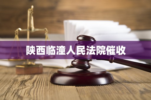 陕西临潼人民法院催收