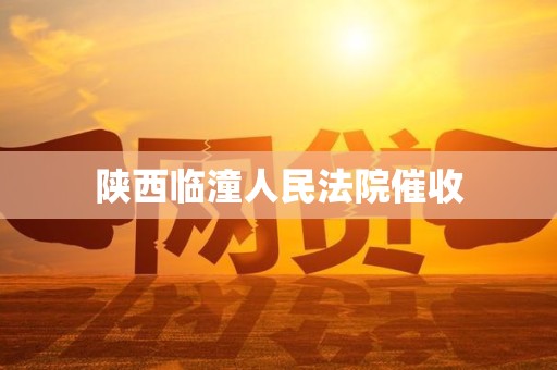 陕西临潼人民法院催收