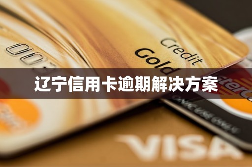 辽宁信用卡逾期解决方案
