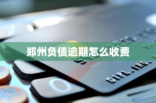 郑州负债逾期怎么收费