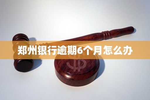 郑州银行逾期6个月怎么办
