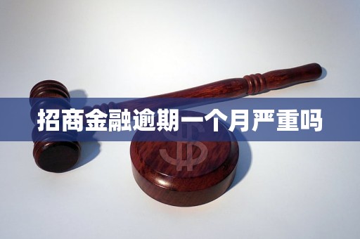 招商金融逾期一个月严重吗