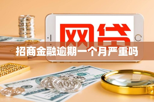 招商金融逾期一个月严重吗