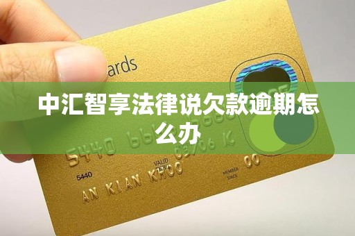 中汇智享法律说欠款逾期怎么办