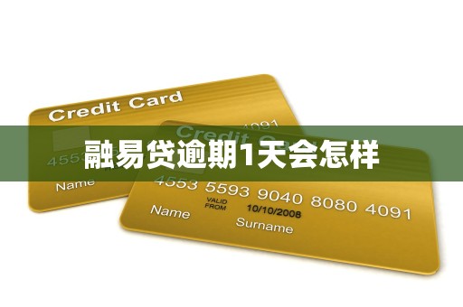 融易贷逾期1天会怎样