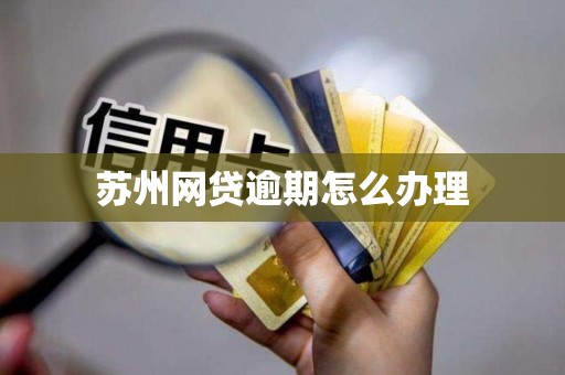 苏州网贷逾期怎么办理