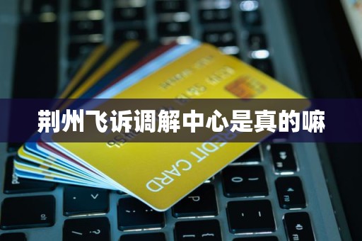 荆州飞诉调解中心是真的嘛