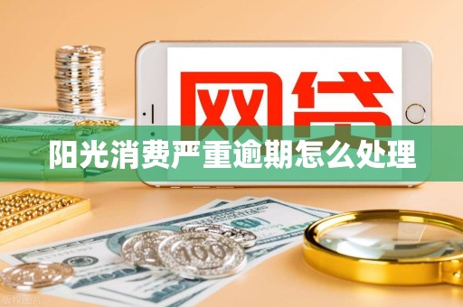 阳光消费严重逾期怎么处理