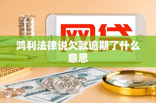 鸿利法律说欠款逾期了什么意思